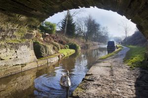 scholars green canal path 113 sm.jpg
